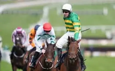 Constitution Hill’s walk-on part exposes an uneasy truth at Cheltenham