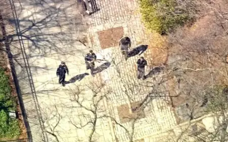 Suspicious Package Near NYC Governor’s Gracie Mansion Declared Safe