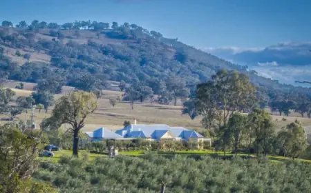 Mudgee Corridor Shake-up: Rylstone Olive Press Hits Market with $6.5m Price Tag
