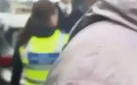 Stoke school brawls: Police removed pupils and parents despite no injuries reported