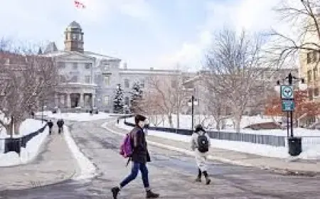 Mcgill University: Péladeau loses bid to remake Transat’s board and what it means for shareholders