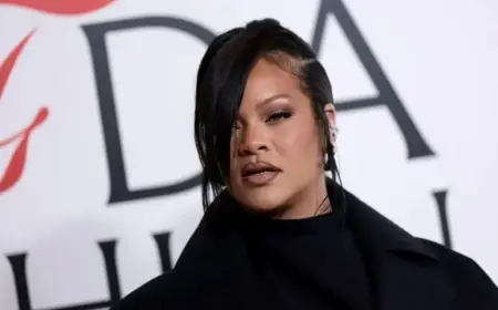 Police Audio Reveals Chaos After Shooting at Rihanna’s Mansion