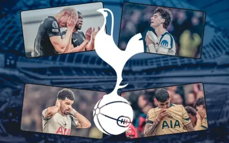 Spurs: Relegation Threat and European Glory in One Season