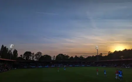 Fabio Borini style secures back-to-back wins