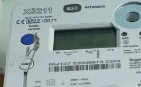 ESB apology over Smart Meters glitch contrasts with supplier billing pause
