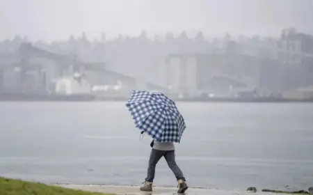 Weather Vancouver Snow: Vancouver Moves Closer to First No-Snow Winter Since 1982-83