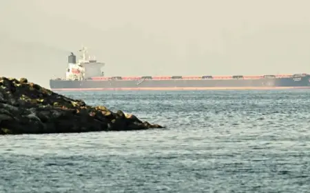 Iran May Deploy Mines to Disrupt Strait of Hormuz, Warns U.S. Sources