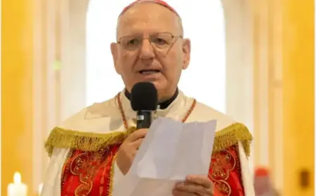 Leo Accepts Resignations of Chaldean Leaders Amid Corruption Scandal