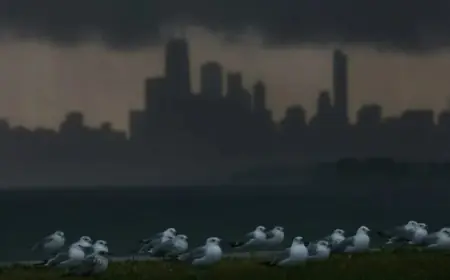 Tornado Warning Chicago alerts escalate as watch and airport ground stops overlap