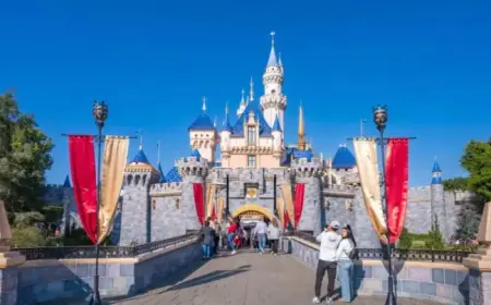 Hazmat Incident at Disneyland: 5 Employees Treated for Exposure
