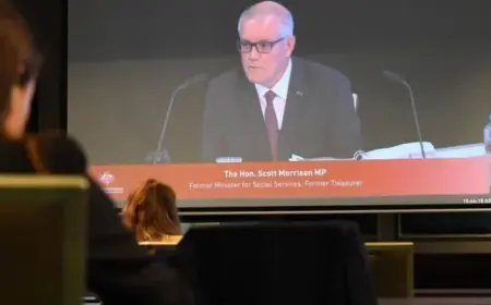 Mark Withnell and Serena Wilson found corrupt as Nacc clears Morrison