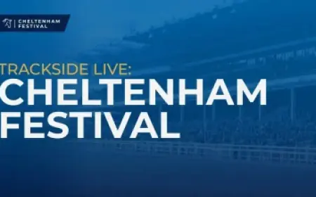 Jacki Weaver Joining David Boreanaz Changes The Rockford Files Pilot