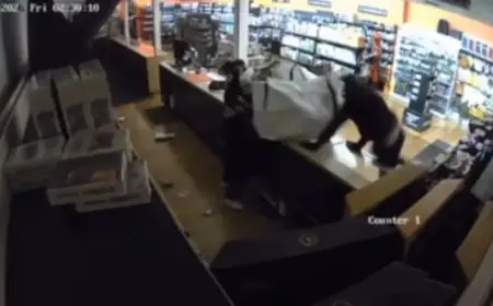 Massive Damage as Pokemon Cards Worth Thousands Stolen in B.C.’s Lower Mainland