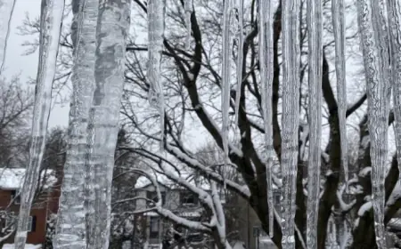 Montreal Freezing Rain Triggers School Closures and Weather Ice Storm Risks