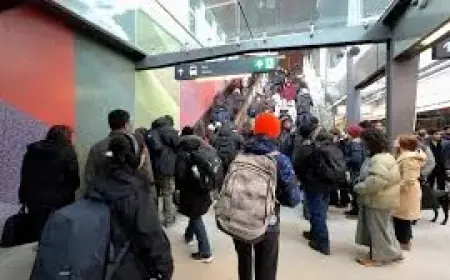 Oc Transpo’s full-fleet shift vs incremental returns: Line 1 capacity trade-offs