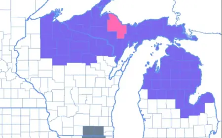 Major Winter Storm to Hit Michigan: Up to 12 Inches of Snow Expected