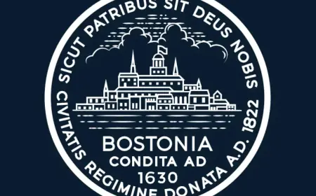 Boston schedules 311 Day as the city spotlights service volume and access