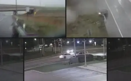 Unveiling the Hunt for Insurance Fraud Amid National Surge