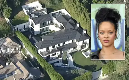 Rihanna House Shooting in Los Angeles Leaves Florida Woman Facing Attempted Murder Charge