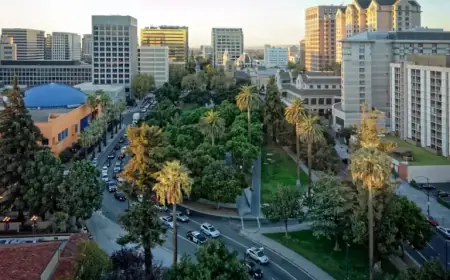 San Jose Attack on Hebrew-speaking Israelis Sparks Outcry and Investigation