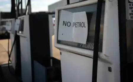 Why Panic Buying Worsens Shortages: Analyzing Behavioral Triggers