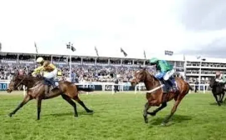 Kitzbuhel and Cobden Hold Off Final Demand, Signalling Mullins Momentum