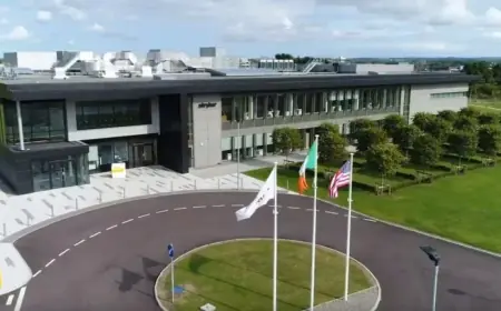 Stryker vs Handala: Cyber claim vs. Cork plant disruptions compared