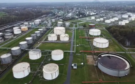 IEA Supports Unprecedented Oil Reserve Release to Reduce Prices