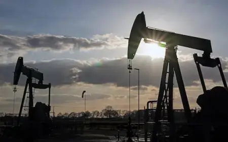 Germany and Japan Stabilize Markets with Strategic Oil Reserve Release