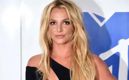Britney Spears’ Ex-Assistant Brands DUI Arrest ‘Suspicious’: Claims Vendetta