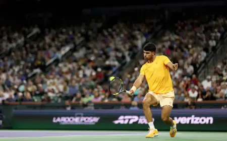 Carlos Alcaraz: Court resilience versus Djokovic praise for golf skills