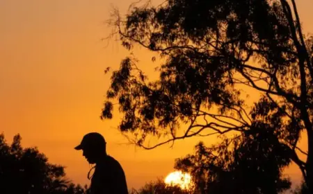 Severe Heat Wave to Sizzle Los Angeles This Week