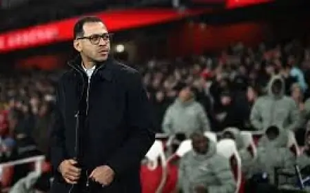 Kings Vs Hornets: Hornets’ Playoff Push Meets Sacramento’s Injury-Weakened Roster