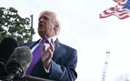 Section 301 Tariffs Open New U.S. Probes of Partners