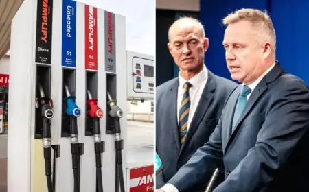 Tasmanian Government Urges Crackdown on Fuel Price Gouging
