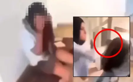 Three Students Charged After Kingsgrove North High School Video