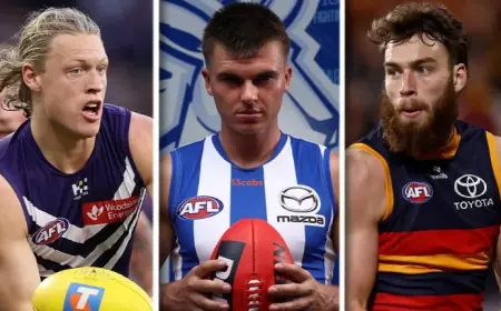Afl Injury List: Who’s Injured and Who’s Available
