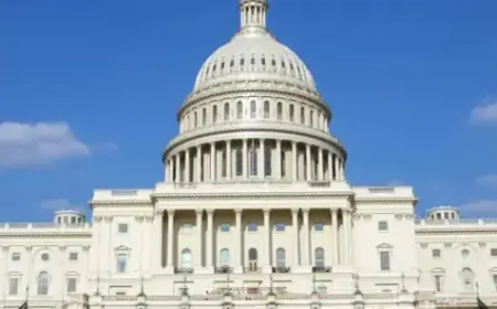 Former DHS Attorney, Critic of Job, Announces Congressional Bid