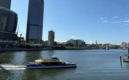 CityCat Employee Dismissed After Taking Sick Leave for Half the Year