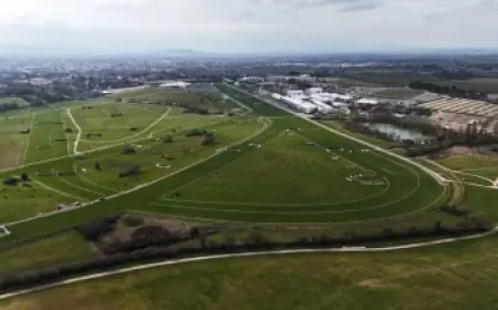 Weather Dc: DC swings from record highs to possible wet snow