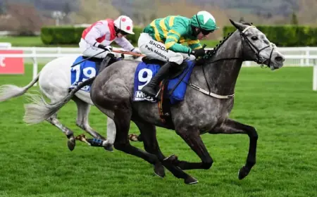 Cheltenham Weather flagged in live updates, but race-day specifics remain opaque