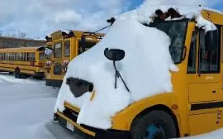 Road Conditions Nb: Most New Brunswick Schools Closed While Some Remain Open