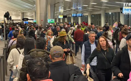 TSA Wait Times Hit 3.5 Hours as DHS Government Shutdown 2026 Ruins Spring Break Travel