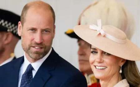 Tinie Tempah Mention Absent as Tinubu State Visit Unfolds