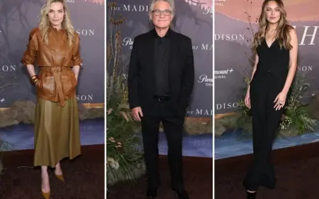 The Madison Tv Show Premiere Draws Stars to Lincoln Center