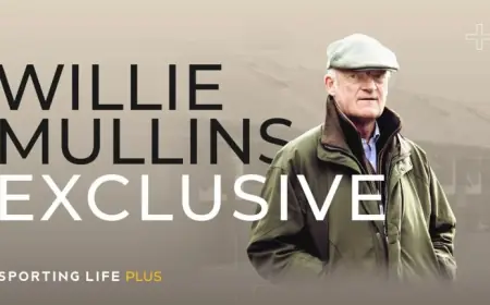 Bambino Fever Horse vs. Willie Mullins Runners: Betting panic or measured form test