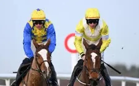 Bambino Fever lines up, raising Day Three stakes for Clare