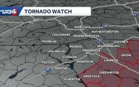 Tornado Warning Columbia Sc: Tornado Watch expands across South Carolina counties