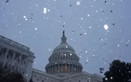 DC Braces for Plunging Temperatures and Possible Snowfall