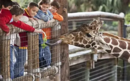 80 UK Tourist Sites Challenge Met Office Over ‘Misleading’ Forecasts